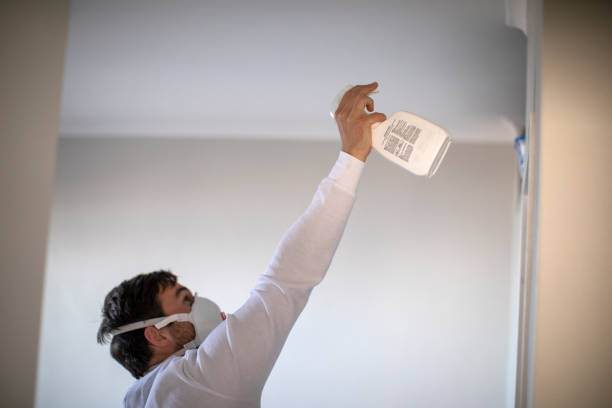 Home Mold Removal in Bangor Base, WA