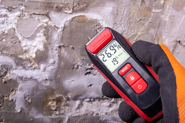 Best Home Mold Removal  in Bangor Base, WA