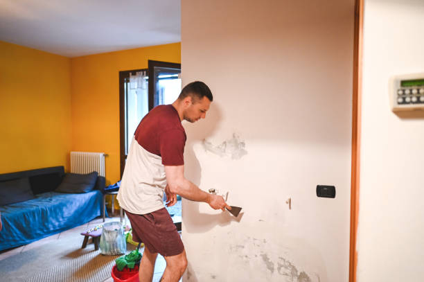 Best Black Mold Removal  in Bangor Base, WA