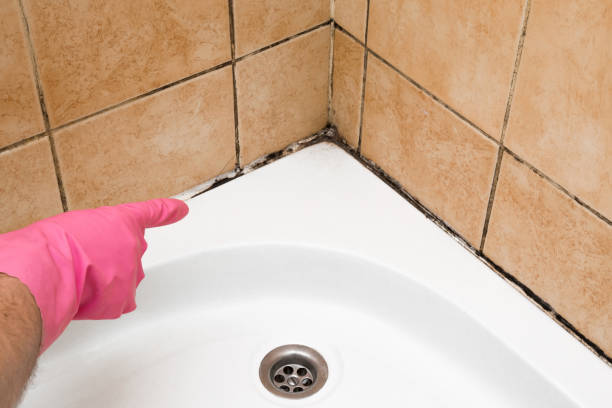 Best Water Damage Restoration  in Bangor Base, WA